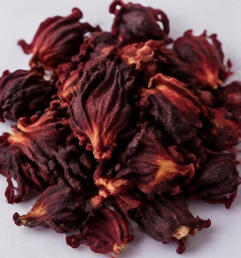 Hibiscus flower
