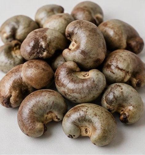 Raw cashew nuts